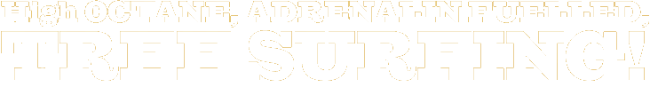 high octane, adrenalin fuelled, tree surfing !