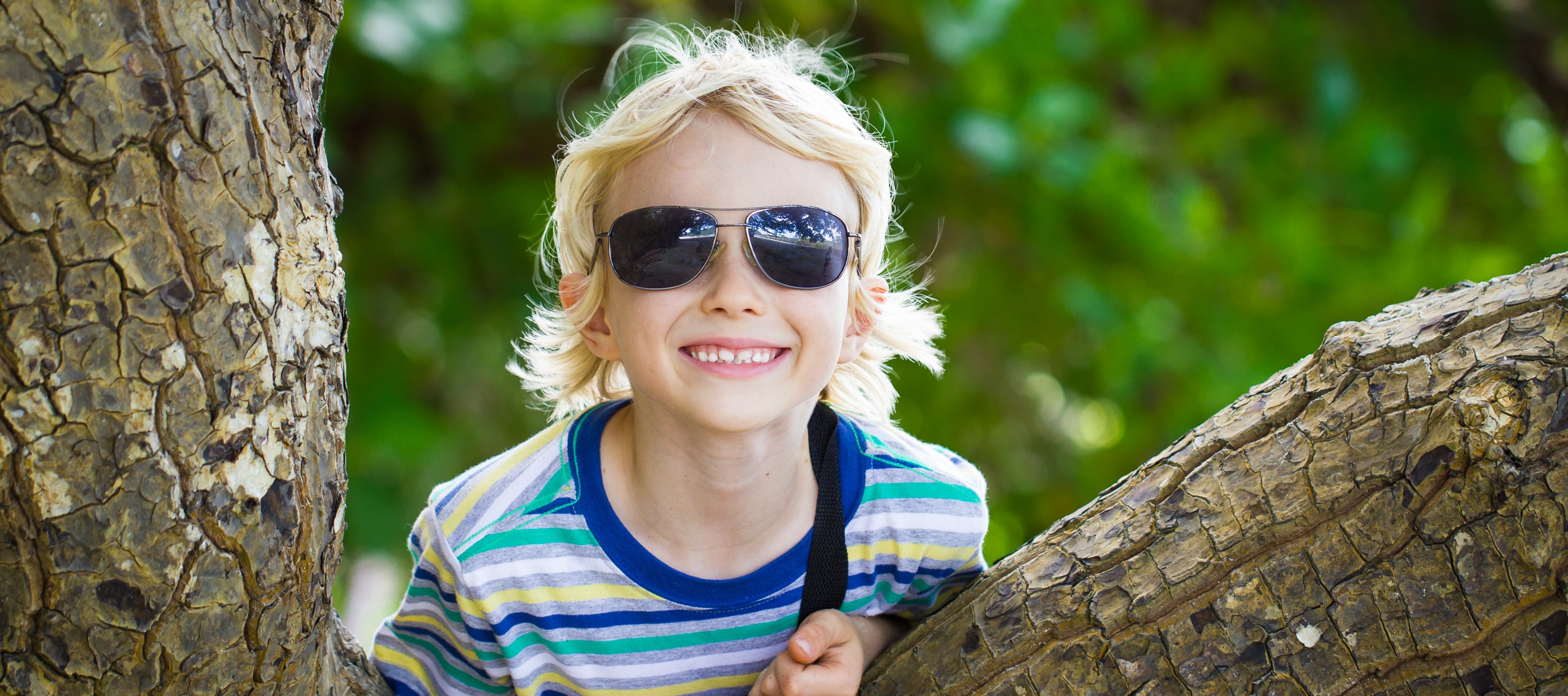 Happy boy climbing tree