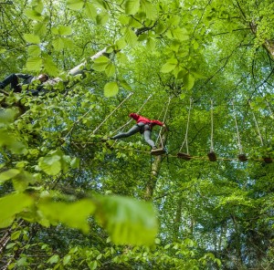 Tree Surfing high ropes course