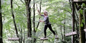 Tree surfers junior high ropes course fun for all the family in Devon 