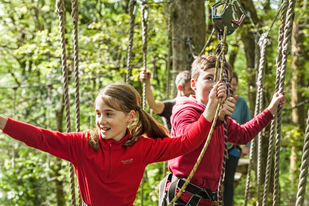 Girl and boy junior tree surfers